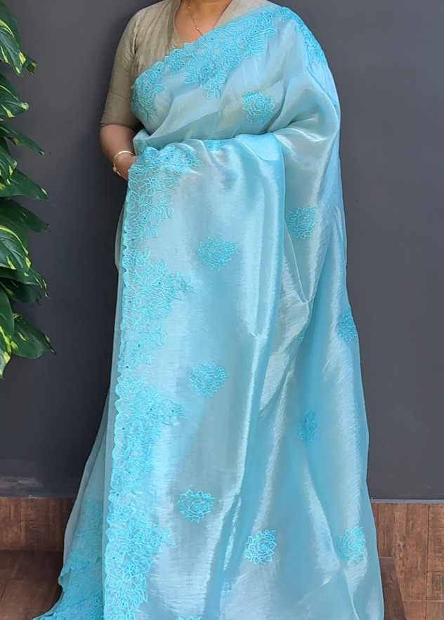 1801SR06 | Powder Blue Organza Saree W/ Full Body Floral Point Embroidery Work W/ Border & Pallu