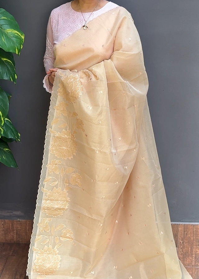 1872SR10 | Chikku Moonga Check Cotta Saree W/ Full Body Floral Embroidery Motifs-Applique Work Border & Pallu