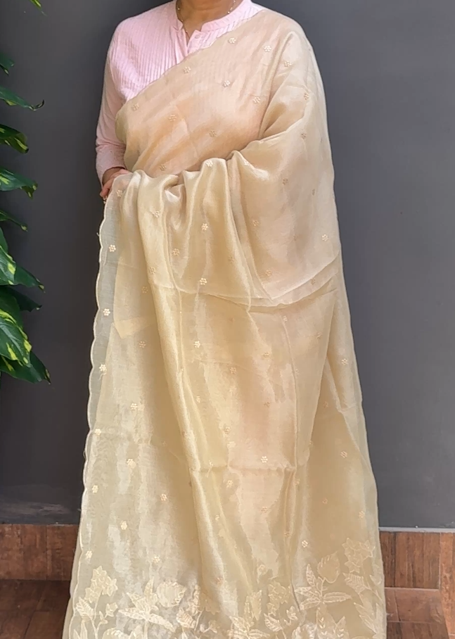 1858SR04 | Ivory Cream Blended Chikku Organza Saree W/ Full Body Floral Embroidery Work Motifs W/ Scallop Border & Applique Work Pallu