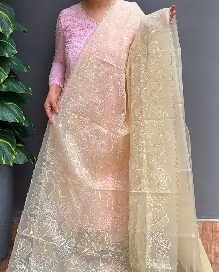 1977SR05 | Sandal Organza Saree W/ Full Body Floral Embroidery Work W/ Scallop Border & Pallu