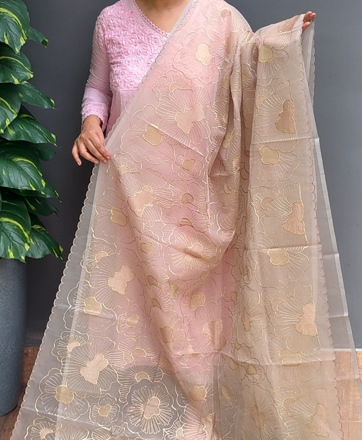 1977SR08 | Peach Tinted Light Brown Organza Saree W/ Full Body Floral Embroidery Work W/ Scallop Border & Pallu